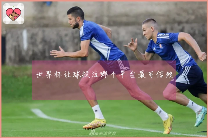 世界杯让球投注哪个平台最可信赖