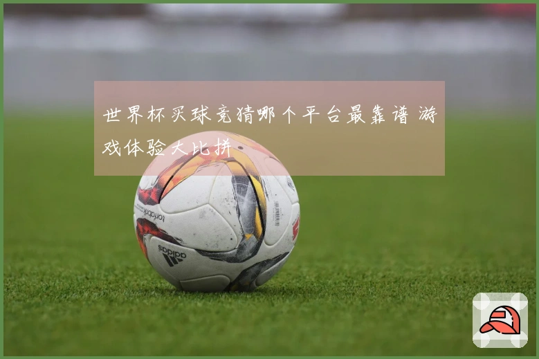世界杯买球竞猜哪个平台最靠谱 游戏体验大比拼