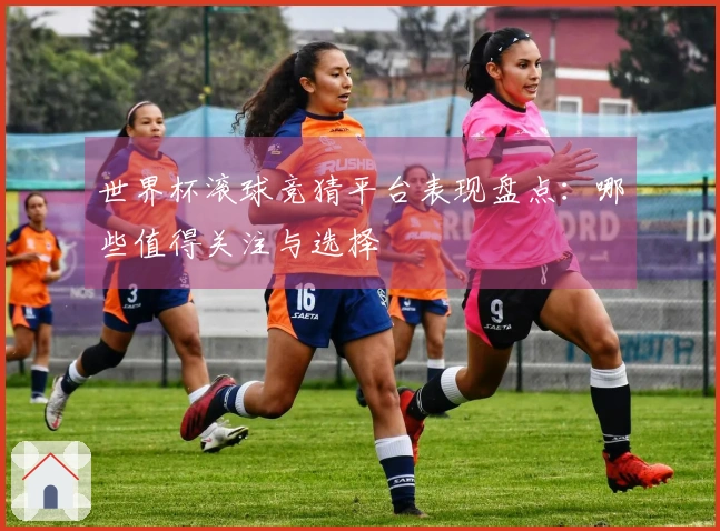 世界杯滚球竞猜平台表现盘点：哪些值得关注与选择