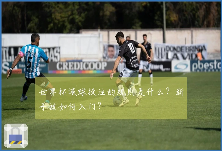 世界杯滚球投注的规则是什么？新手该如何入门？