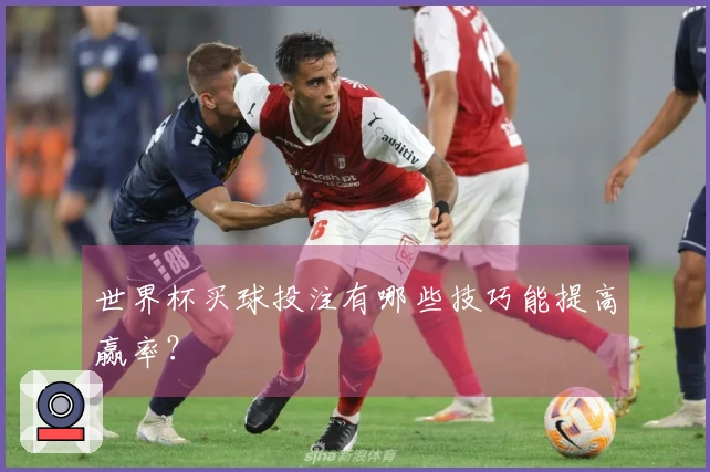 世界杯买球投注有哪些技巧能提高赢率？