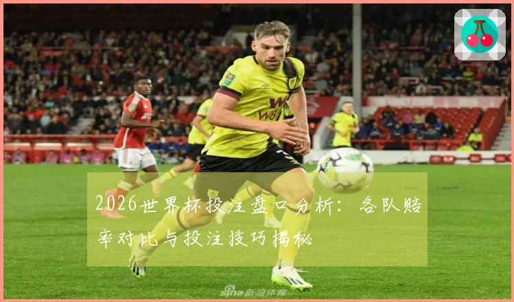 2026世界杯投注盘口分析：各队赔率对比与投注技巧揭秘