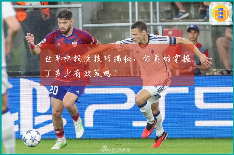 世界杯投注技巧揭秘，你真的掌握了多少有效策略？