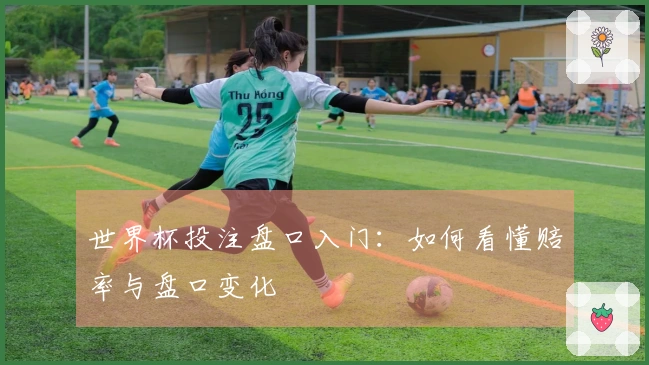 世界杯投注盘口入门：如何看懂赔率与盘口变化