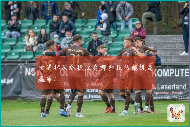 世界杯买球投注有哪些技巧能提高赢率？