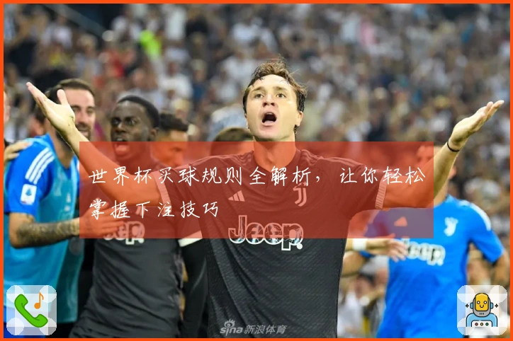 世界杯买球规则全解析，让你轻松掌握下注技巧